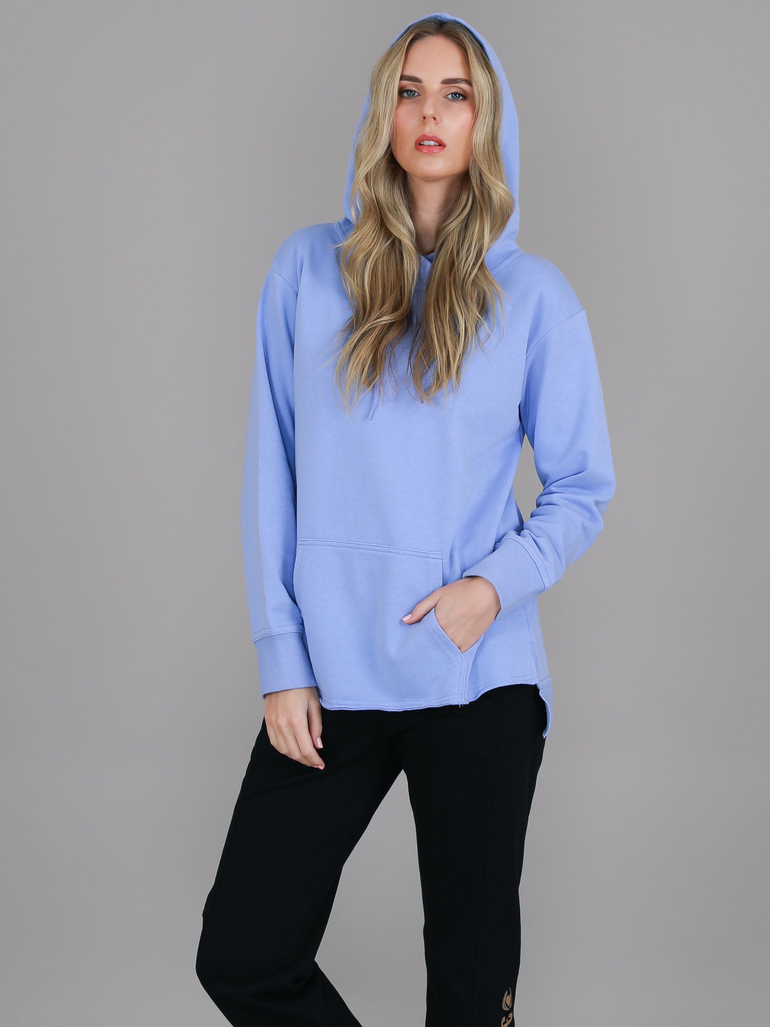sweatshirt hoodie #color_arctic blue