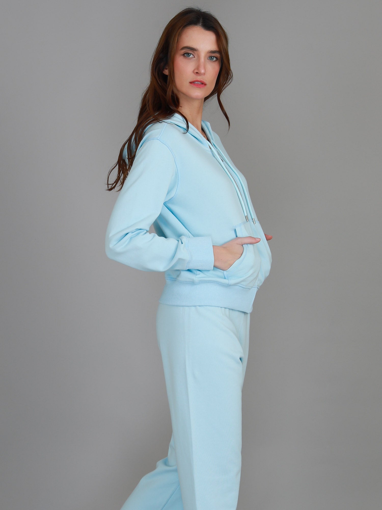 hoodie with zipper #color_frosty
