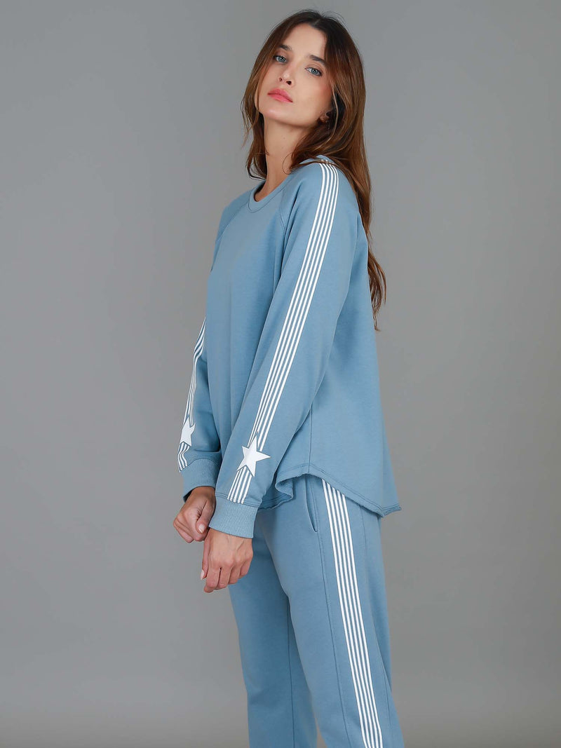 women's crew neck sweatshirt graphic #color_pigeon